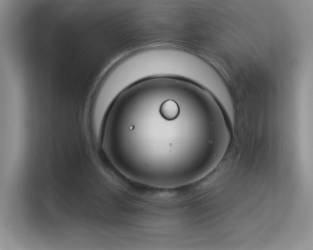 X0000113580156200909251202