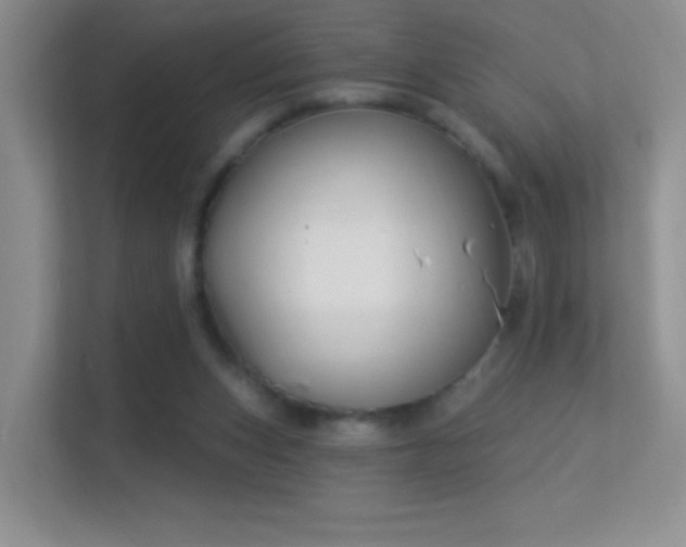 X0000113580159200909251202