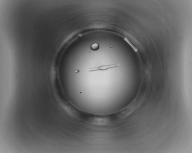 X0000113580160200909251202