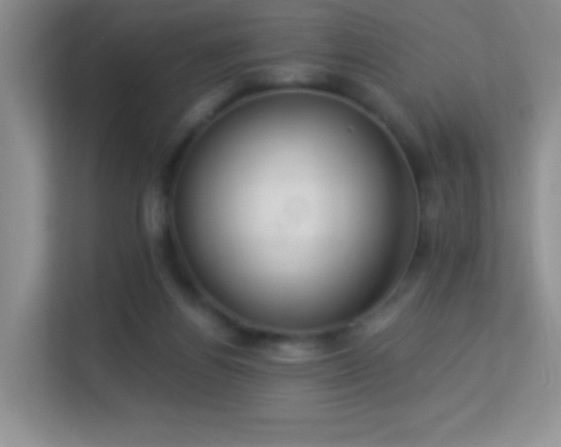 X0000113580164200909251202