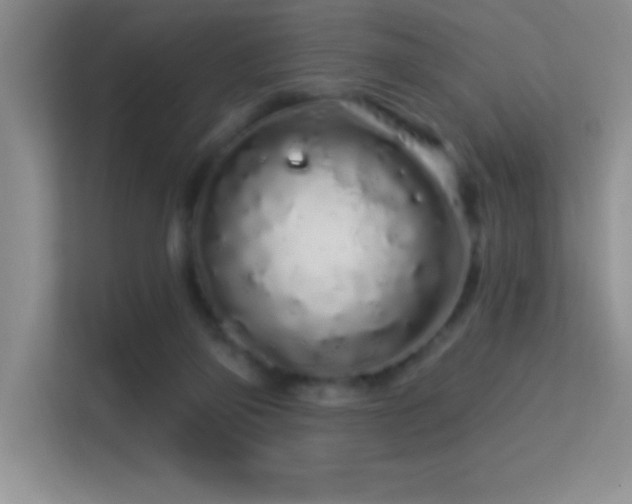 X0000113580165200909251202