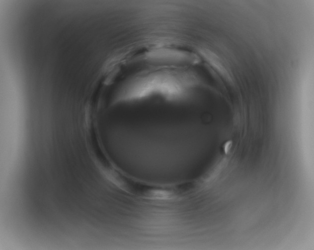 X0000113580167200909251202