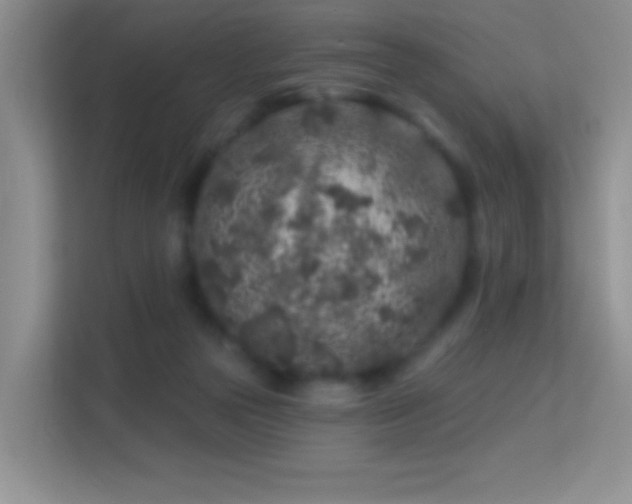 X0000113580169200909251202