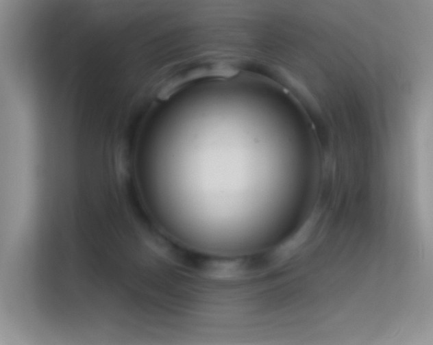 X0000113580170200909251202