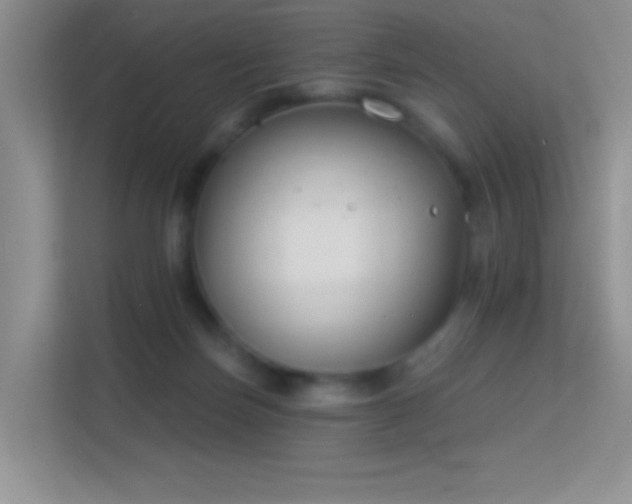 X0000113580171200909251202