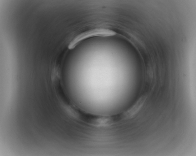 X0000113580172200909251202