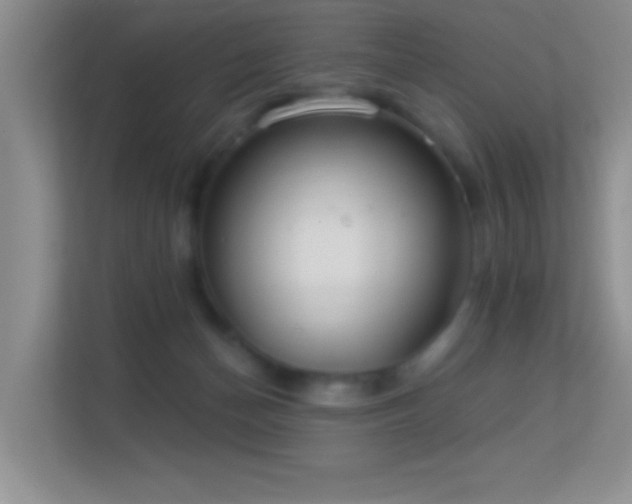 X0000113580174200909251202