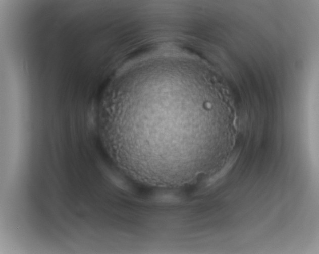 X0000113580175200909251203