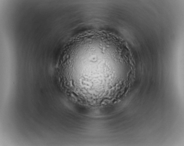 X0000113580177200909251203