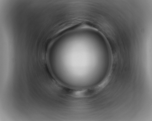 X0000113580178200909251203