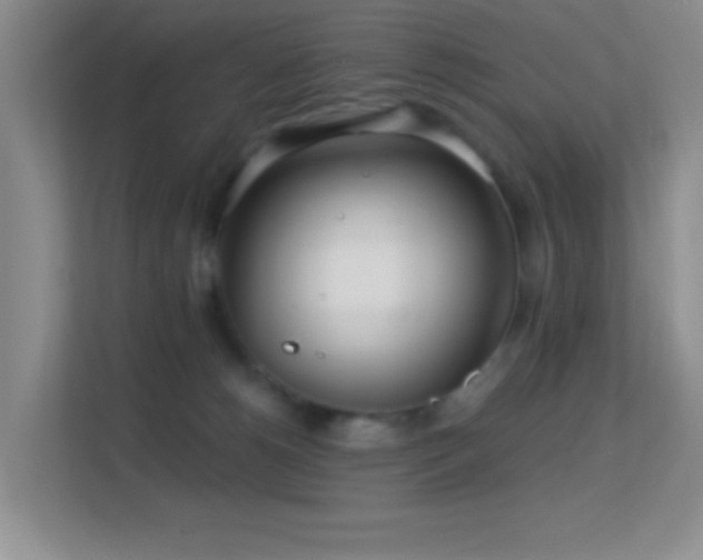 X0000113580180200909251203