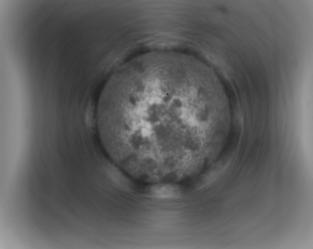 X0000113580181200909251203