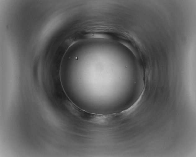 X0000113580190200909251203