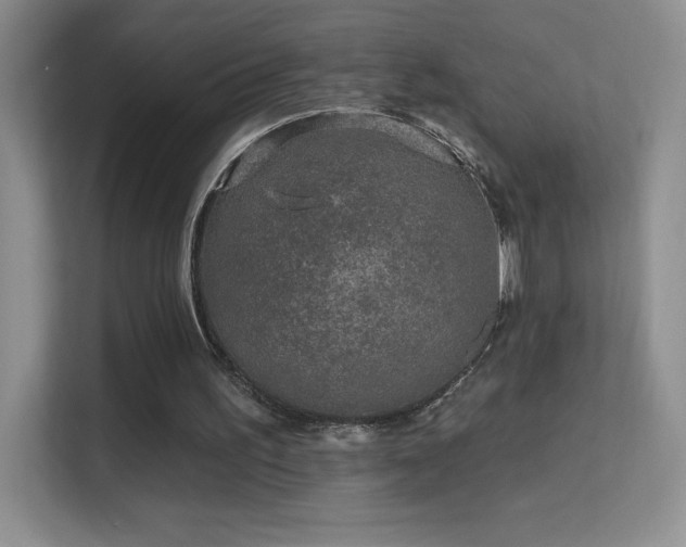 X0000113580195200909251202