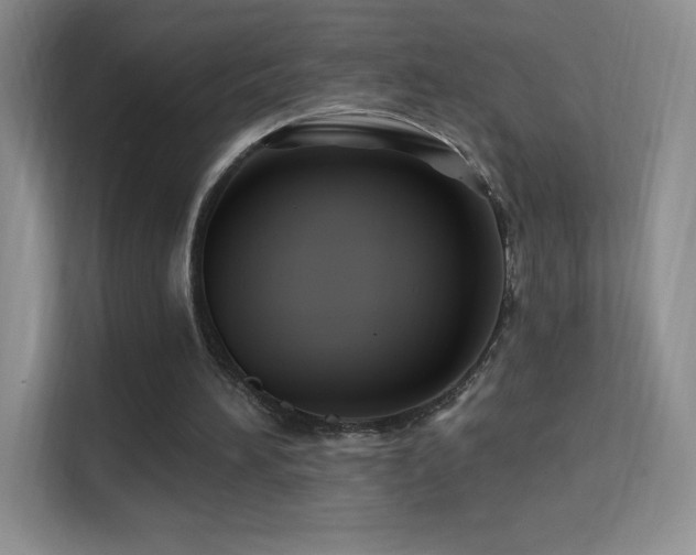 X0000113580196200909251202