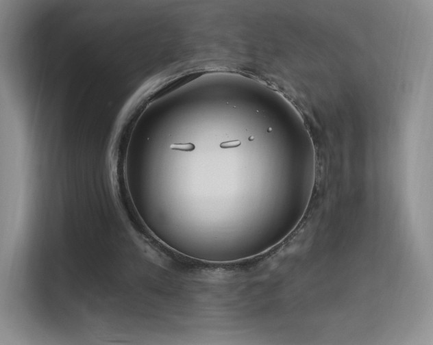 X0000113580197200909251202