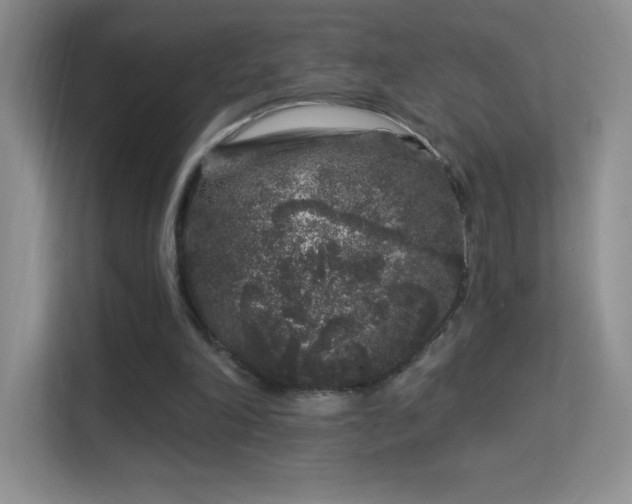 X0000113580198200909251202