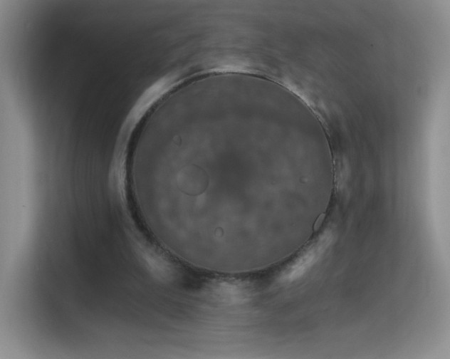 X0000113580199200909251202