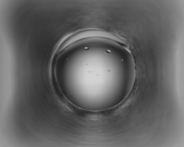 X0000113580200200909251202