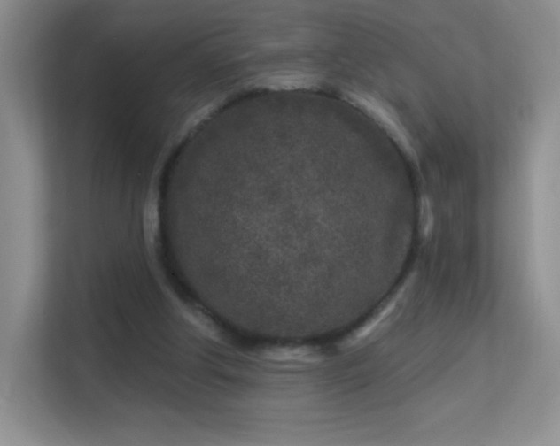 X0000113580202200909251202