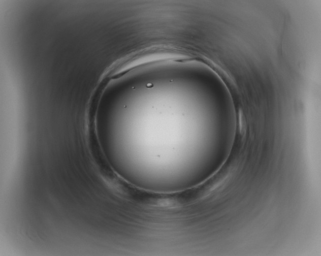 X0000113580204200909251202