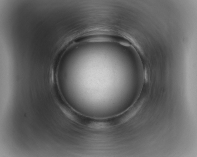 X0000113580205200909251202