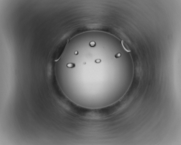 X0000113580211200909251202