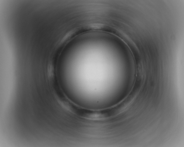 X0000113580212200909251202