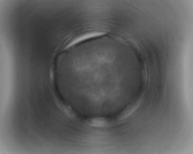 X0000113580214200909251202