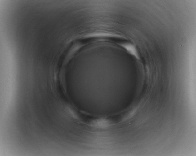 X0000113580219200909251202