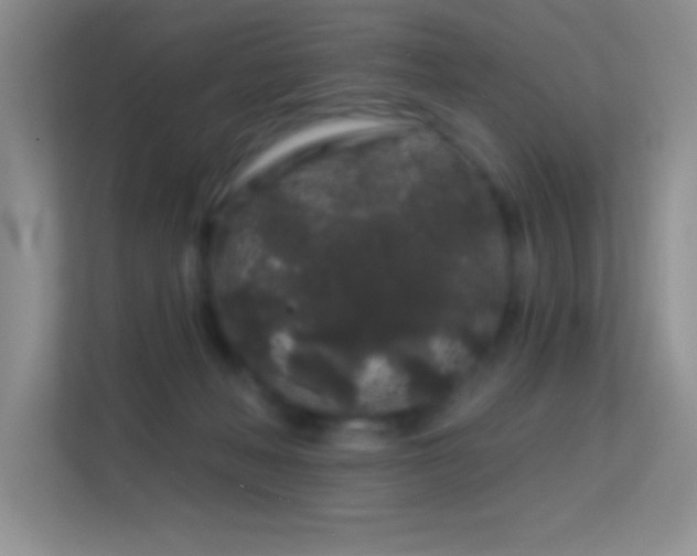 X0000113580222200909251202