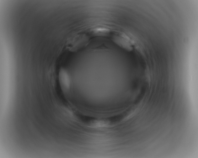 X0000113580223200909251202