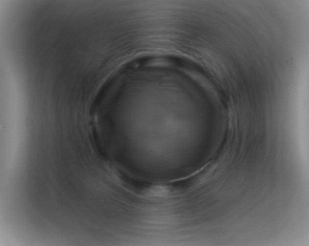 X0000113580227200909251202