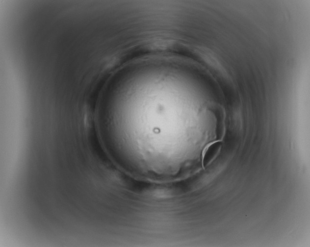 X0000113580228200909251202