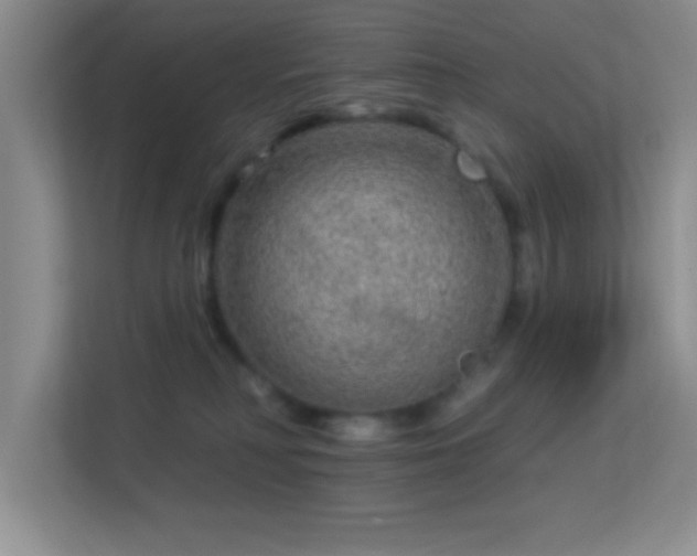 X0000113580230200909251202