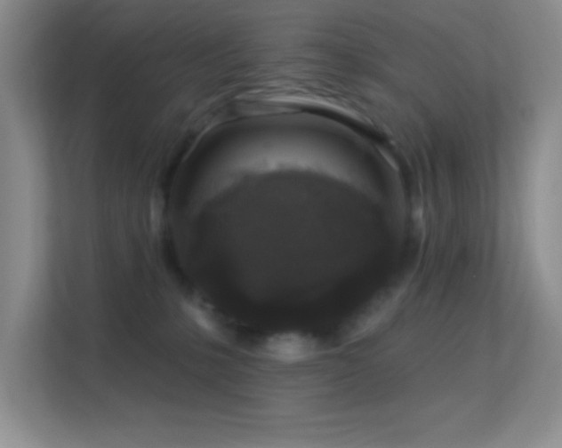 X0000113580231200909251202