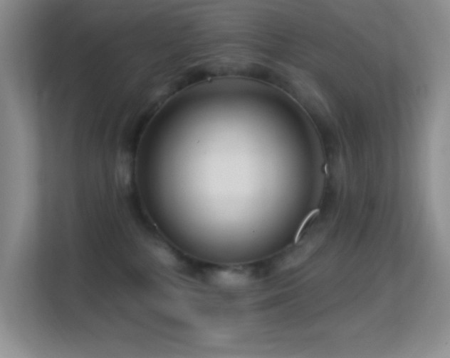 X0000113580232200909251202