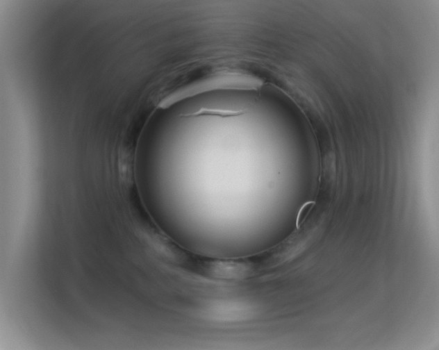 X0000113580234200909251201