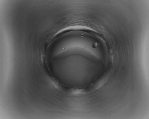 X0000113580235200909251201