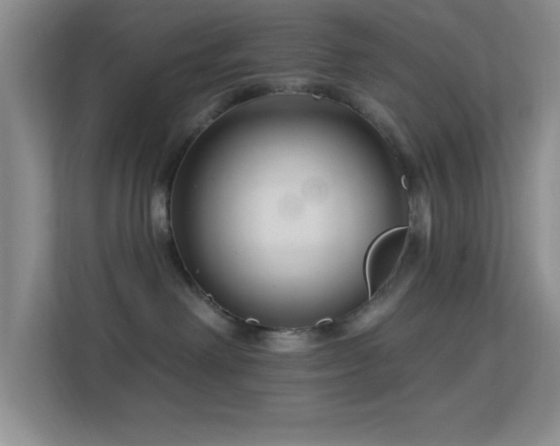 X0000113580238200909251201