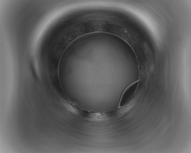 X0000113580239200909251201