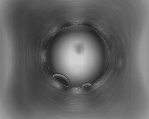 X0000113580240200909251201