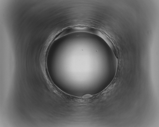 X0000113580241200909251201