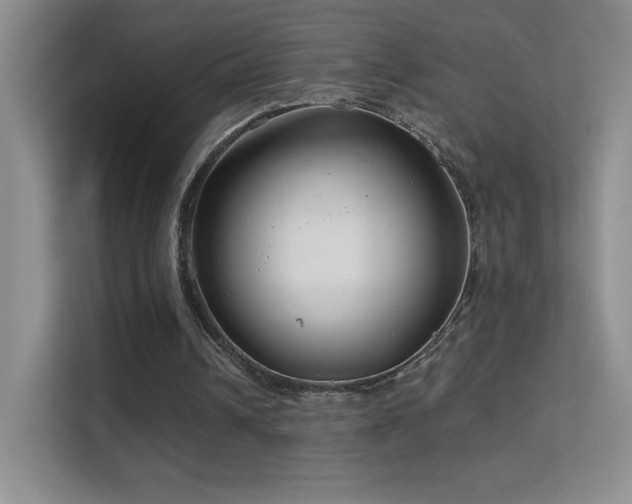 X0000113580242200909251201