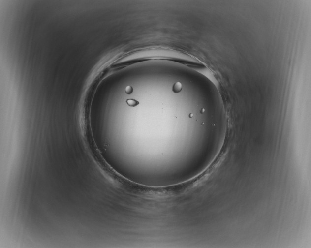 X0000113580245200909251201