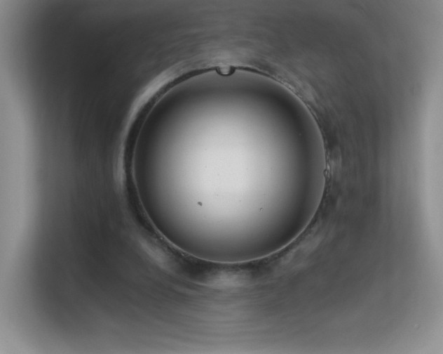 X0000113580248200909251201