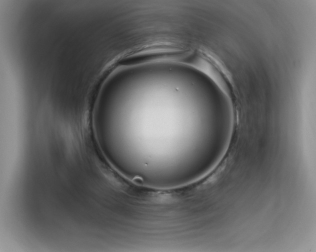 X0000113580249200909251201