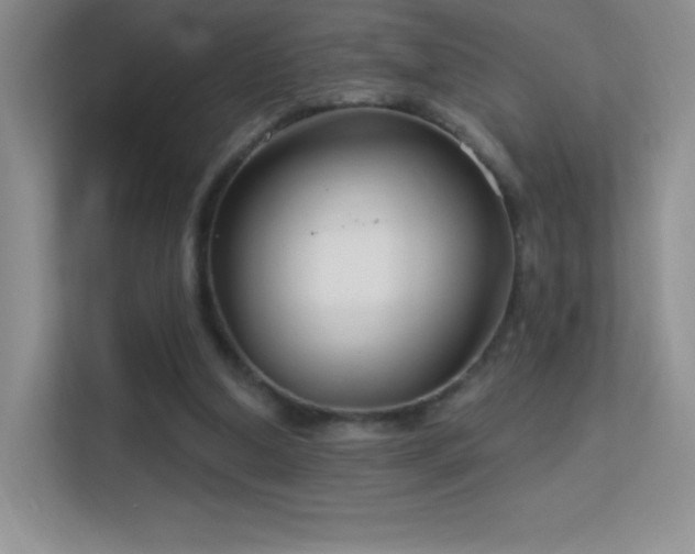 X0000113580250200909251201