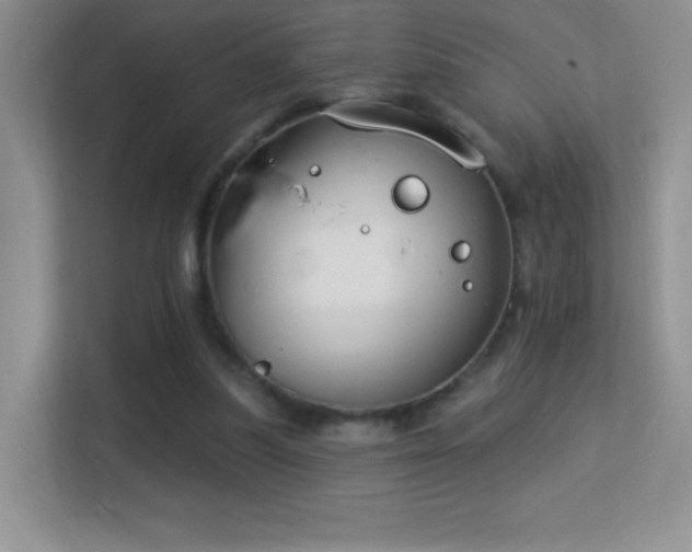 X0000113580251200909251201