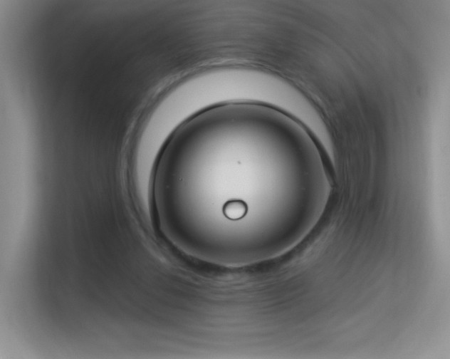 X0000113580252200909251201